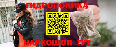 МДПВ Камышлов